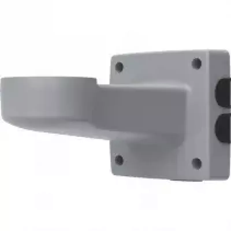 Laikiklis ant sienos Axis T94J01A pilkas