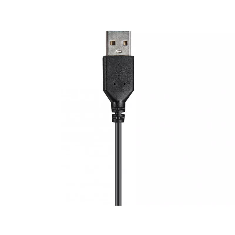 Ausinės Sandberg USB Chat Headset