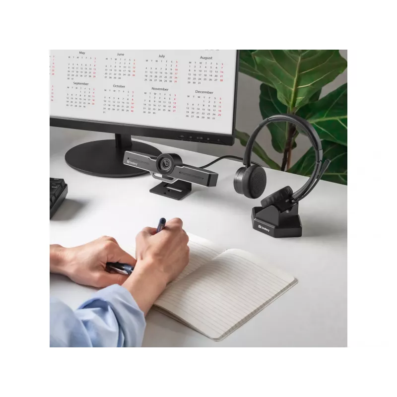Belaidės ausinės Sandberg Wireless Office Headset Pro+