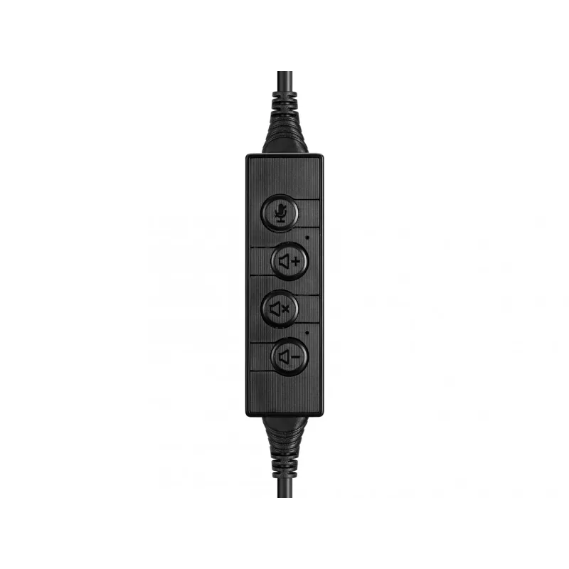 Ausinės Sandberg USB-C pokalbių ausinės