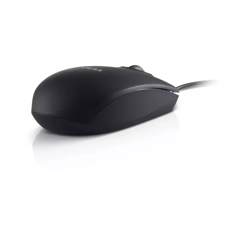 Dell MS111 USB laidinė optinė pelė, juoda
