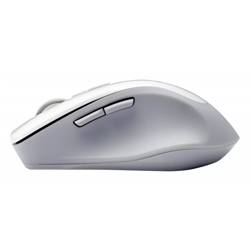 ASUS WT425 pelė Office, dešinei rankai, RF belaidė, optinė, 1600 DPI