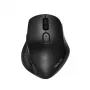 ASUS MW203 pelė Office, dešinei rankai, RF belaidė + Bluetooth, optinė 2400 DPI