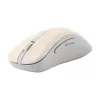 ASUS MD102 belaidė pelė RF + Bluetooth optinė 1600 DPI