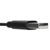 Targus AEH102GL ausinės su mikrofonu, laidinės, ant galvos, skambučiams ir muzikai, USB Type-A, juodos