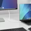 StarTech.com 1,9 m USB-C į DisplayPort 1.2 laidas, dvipusis, 4K 60Hz, baltas, skirtas Apple MacBook Pro / Air M1 M2 M3 M4, Mac Mini / Studio, Thunderbolt suderinamas