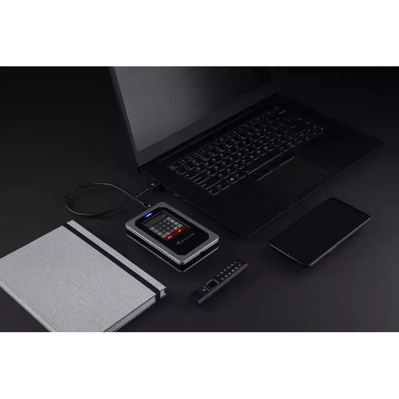 Išorinis kietasis diskas DataLocker DL4 FE 1TB USB 3.2 Gen 1