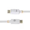 StarTech.com 3 m baltas VESA sertifikuotas DisplayPort 1.2 laidas, 4K 60Hz, 21.6Gbps, fiksuojančios DP jungtys, DP 1.2 DisplayPort laidas, DP monitoriaus laidas, M/M
