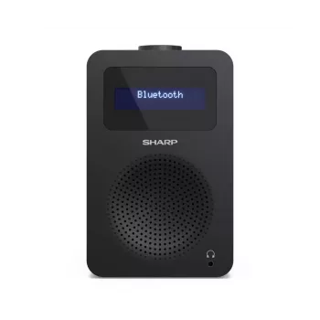 Asmeninis radijo imtuvas Sharp DR-430 skaitmeninis DAB DAB+ FM