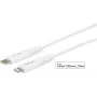 Lightning laidas eSTUFF ES602021 0,5 m USB C baltas