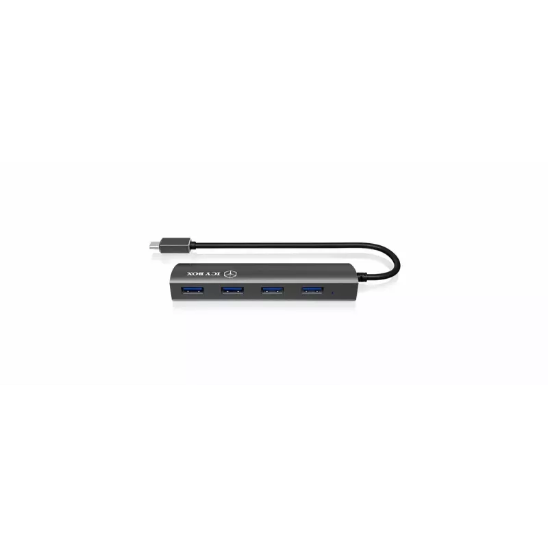 USB 3.2 Gen 1 Type-C sąsajos centras RAIDSONIC IB-AC6405-C juodas