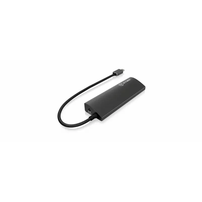 USB 3.2 Gen 1 Type-C sąsajos centras RAIDSONIC IB-AC6405-C juodas
