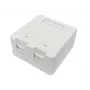 Lanview LVN127767 kištukinis lizdas 2 x RJ-45 Baltas