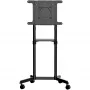 StarTech.com Mobilus televizoriaus stovas ant ratukų 37-70 colių VESA ekranams (70 kg) – TV stovas su lentyna ir saugojimo skyriumi – Sukamas/pakreipiamas ekranas – Universalus TV laikiklis ant ratų