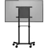 StarTech.com Mobilus televizoriaus stovas ant ratukų 37-70 colių VESA ekranams (70 kg) – TV stovas su lentyna ir saugojimo skyriumi – Sukamas/pakreipiamas ekranas – Universalus TV laikiklis ant ratų