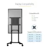StarTech.com Mobilus televizoriaus stovas ant ratukų 37-70 colių VESA ekranams (70 kg) – TV stovas su lentyna ir saugojimo skyriumi – Sukamas/pakreipiamas ekranas – Universalus TV laikiklis ant ratų