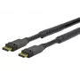 Vivolink PRODPAM10 DisplayPort kabelis 10 m Juodas