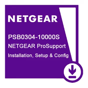 NETGEAR PSB0304 1 licencija