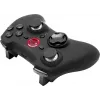 Belaidis žaidimų pultas SPEEDLINK RAIT Black RF