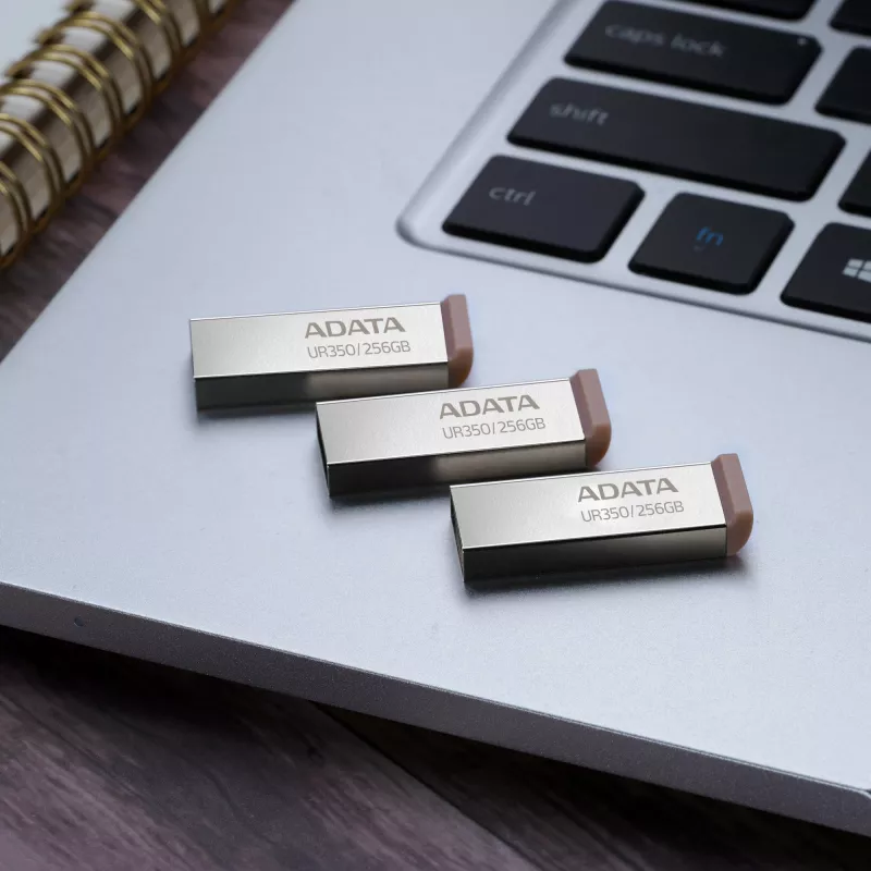 ADATA UR350 USB atmintukas 256 GB USB Type-A 3.2 Gen 1 (3.1 Gen 1) Ruda spalva, nerūdijantis plienas