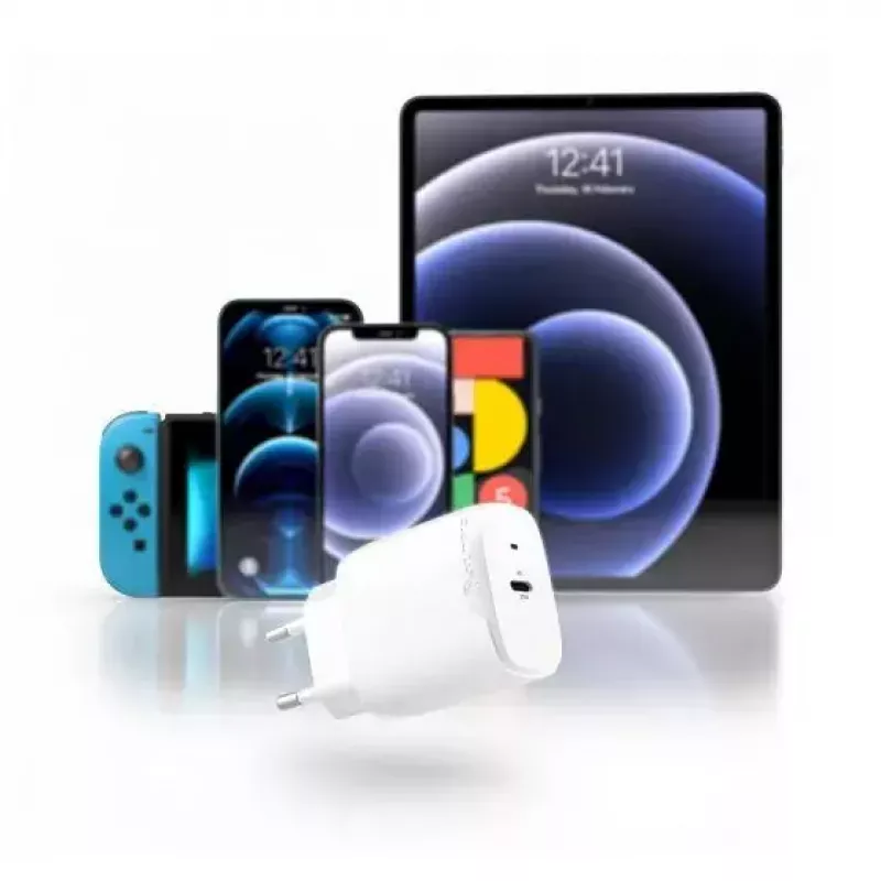 Sieninis įkroviklis ALOGIC WC1X20-EU Smartphone 100-240V USB-C Baltas