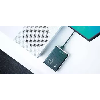 Išorinis kietasis diskas Western Digital 4TB USB 3.2 P10