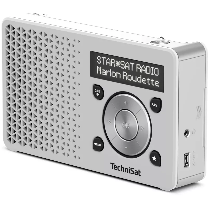 Nešiojamas radijas TechniSat DigitRadio 1