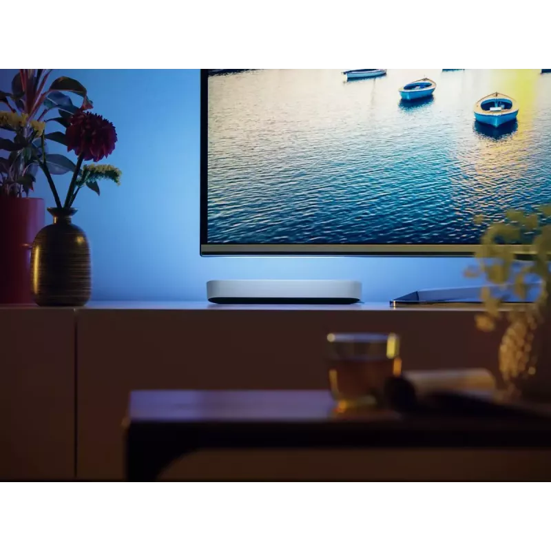 Sieninis išmanusis šviestuvas Philips Hue White and colour ambience Play šviesos juostos praplėtimo rinkinys