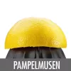 Elektrinė citrusinių spauda Gastroback Home Culture 100 W juoda nerūdijantis plienas