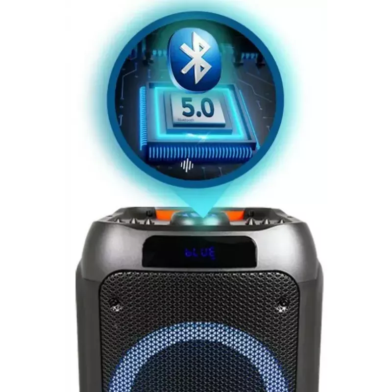 Nešiojamas Bluetooth garsiakalbis MANTA SPK5310 PRO 20W