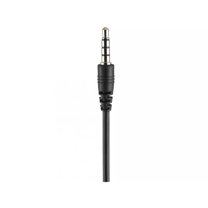 Ausinės Sandberg MiniJack Headset Bulk