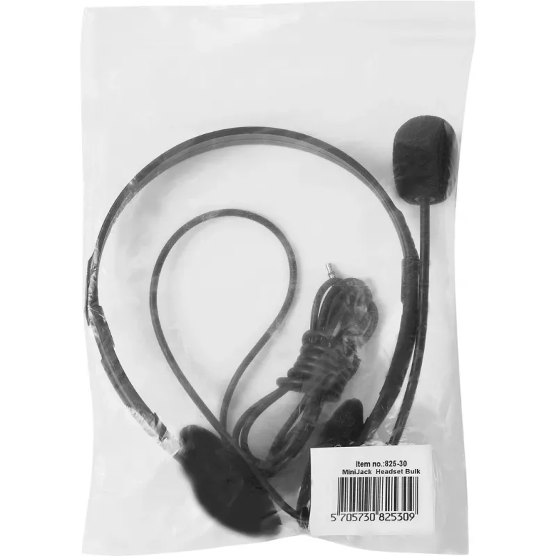 Ausinės Sandberg MiniJack Headset Bulk