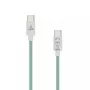 SBOX laidas USB Type-C -> USB Type-C M/M 1 m Žalias 60 W