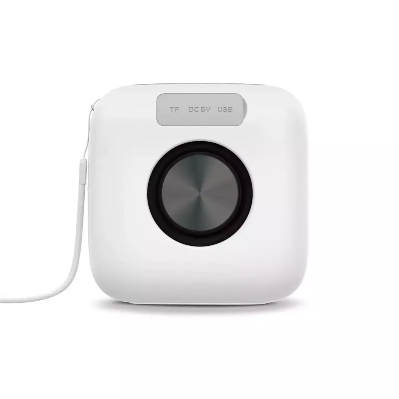Nešiojamas mono garsiakalbis Veho MZ-4 5W 100-16000Hz belaidis baltas