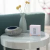 Išmanusis termostatas Netatmo NTH01-EN-EU