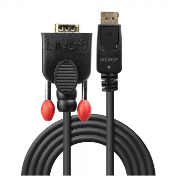 Lindy 0,5 m DisplayPort į VGA laidas
