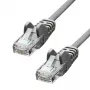 ProXtend CAT5e U/UTP CCA PVC pilkas tinklo kabelis 0,25 m