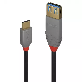 Lindy 0,15 m USB 3.2 C tipo į A adapterio laidas, 10 Gbps, Anthra Line