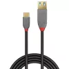 Lindy 0,15 m USB 3.2 C tipo į A adapterio laidas, 10 Gbps, Anthra Line