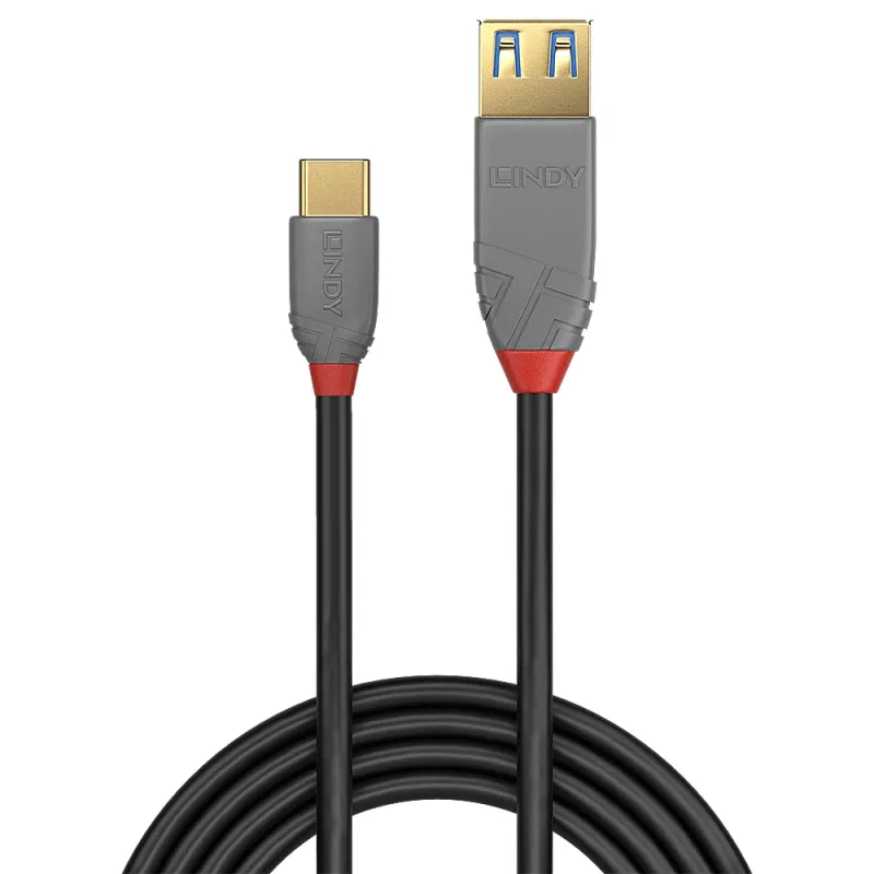 Lindy 0,15 m USB 3.2 C tipo į A adapterio laidas, 10 Gbps, Anthra Line