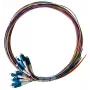 Lanview LVO-PIG-LCUPC-12CORE-OS2-2M 12 gyslų OS2 vienmodis šviesolaidinis kabelis 2 m
