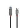 Lindy 1 m USB 3.2 Type C į B laidas, Anthra Line