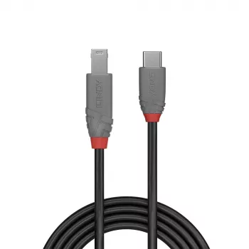 Lindy 1 m USB 3.2 Type C į B laidas, Anthra Line