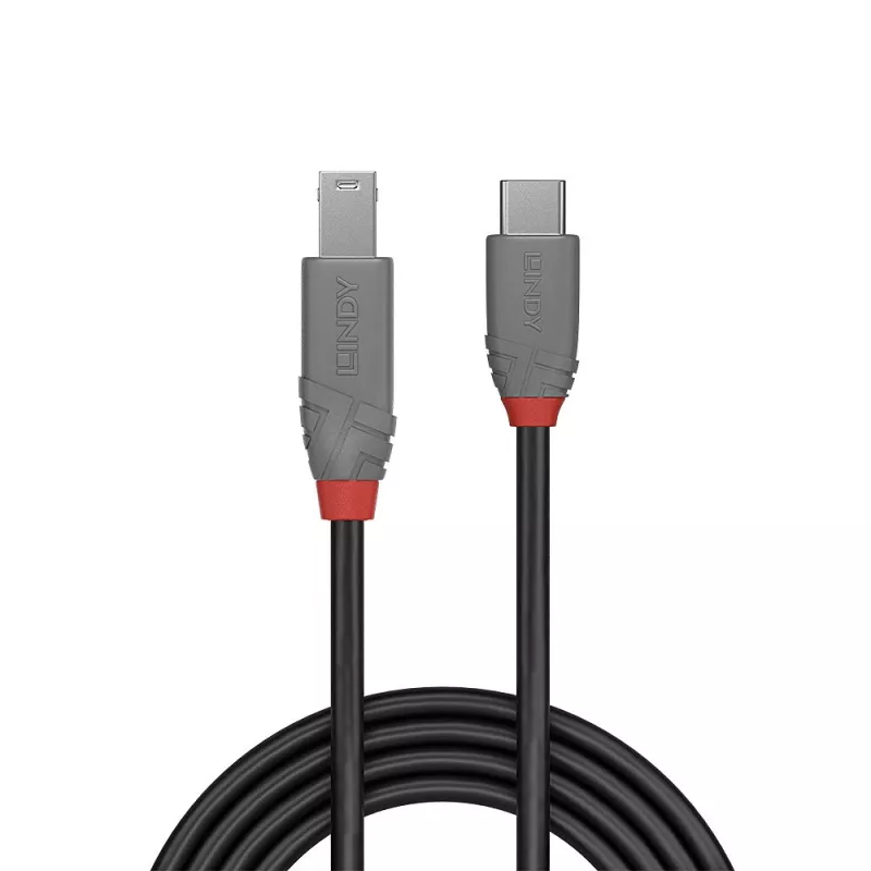 Lindy 1 m USB 3.2 Type C į B laidas, Anthra Line