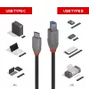 Lindy 1 m USB 3.2 Type C į B laidas, Anthra Line