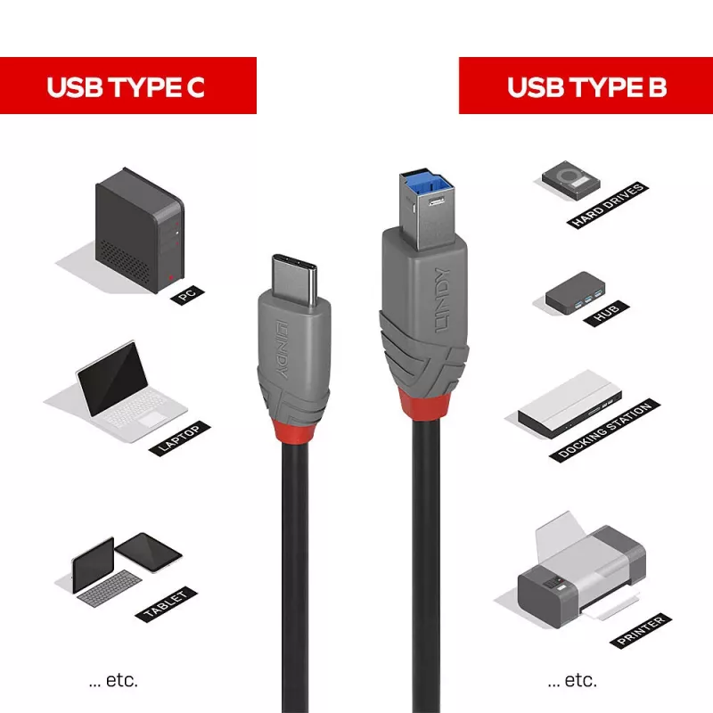Lindy 1 m USB 3.2 Type C į B laidas, Anthra Line
