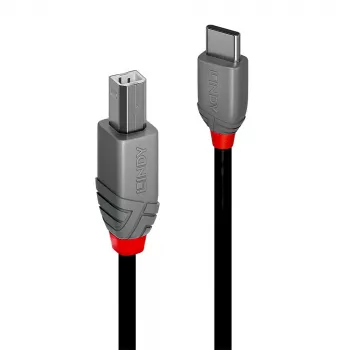 Lindy USB 2.0 laidas, 1 m, USB C į USB B, Anthra Line