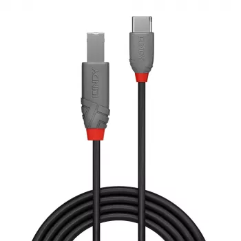 Lindy USB 2.0 laidas, 1 m, USB C į USB B, Anthra Line