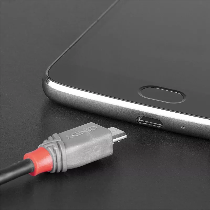 Lindy 3 m USB 2.0 C tipo – Micro-B laidas, Anthra Line