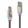 Lindy 1m USB 3.2 Type A į B laidas, 5Gbps, Cromo Line